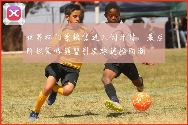 世界杯门票销售进入倒计时，最后阶段策略调整引发球迷抢购潮